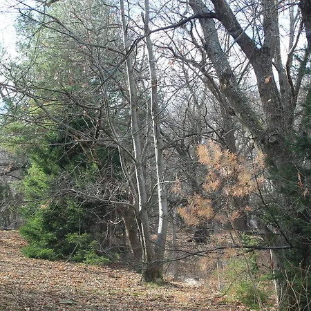 Pele Vendeghaz Holiday home *