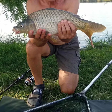 Holiday home Pele Vendeghaz